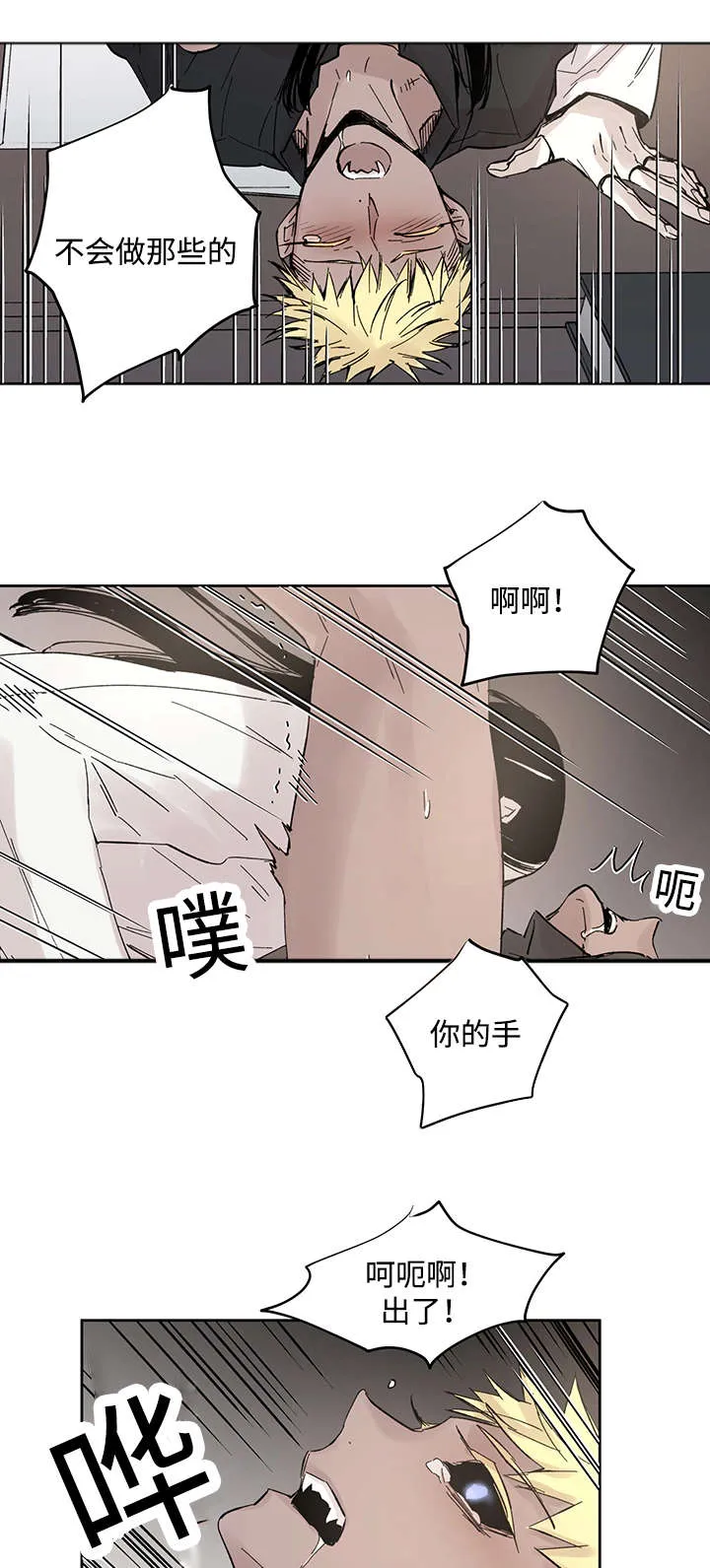 巫师与狼漫画漫画,第18章：发觉11图