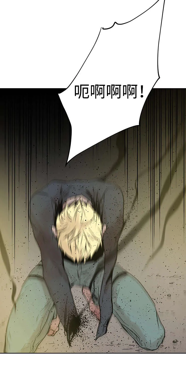 巫师与狼漫画漫画,第5章：主人会怎么做7图