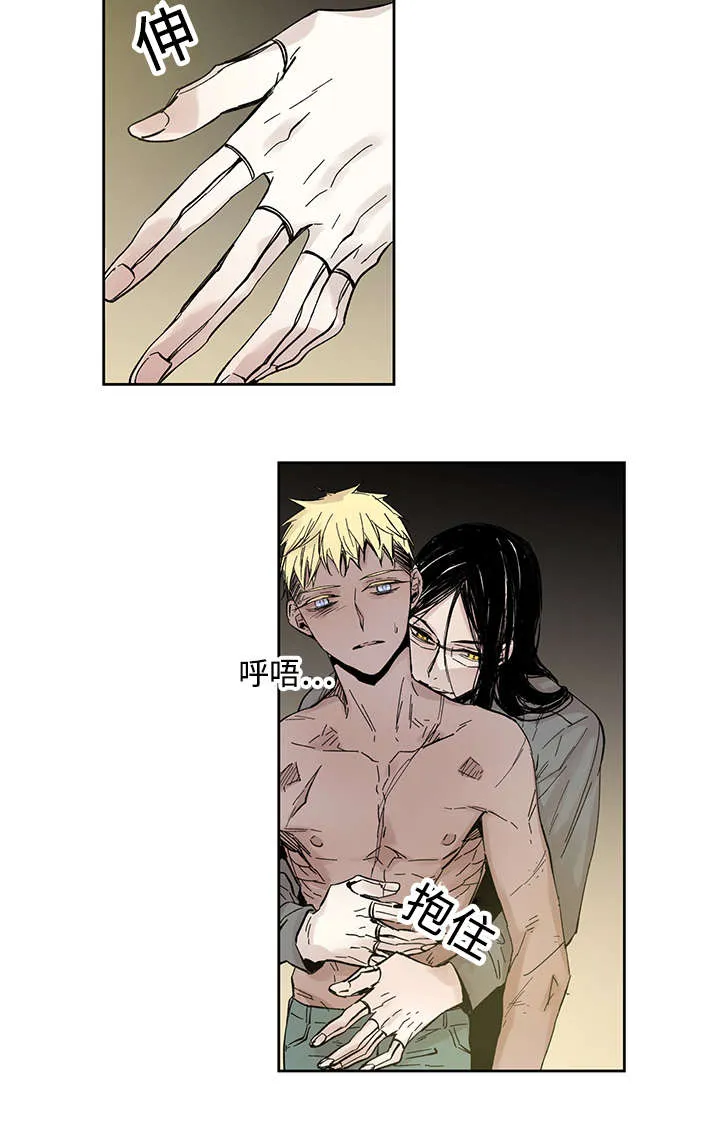 巫师与狼漫画全集免费看漫画,第21章：受伤返回12图