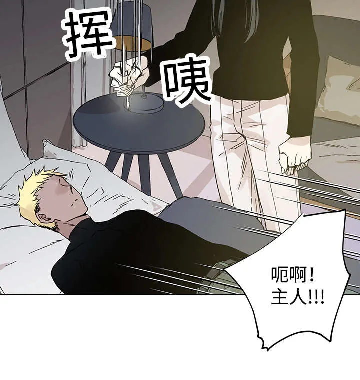 巫师与狼漫画漫画,第6章：不能随便做6图