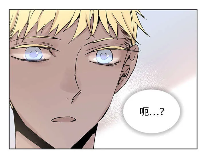 巫师与狼漫画漫画,第32章：这是什么事5图