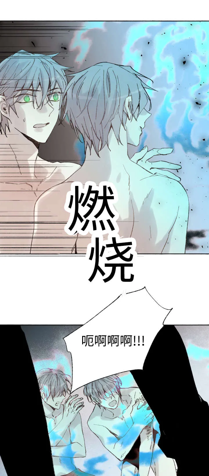 巫师与狼漫画漫画,第40章：童子参1图