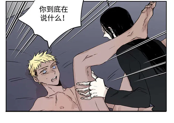 巫师与狼漫画漫画,第10章：你要做什么14图