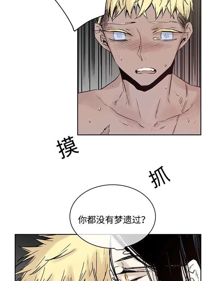 巫师与狼漫画漫画,第10章：你要做什么3图