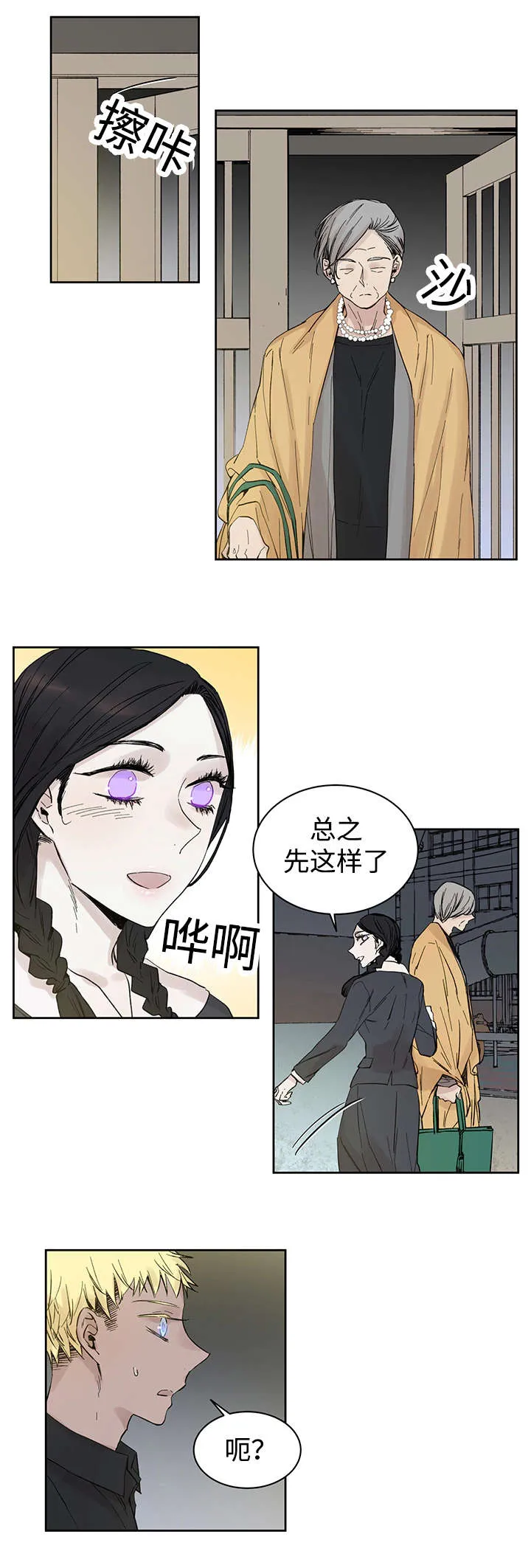 巫师与狼漫画漫画,第13章：难道是12图
