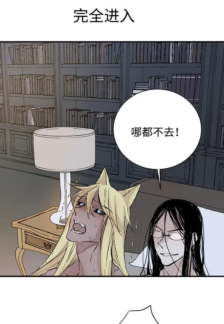 巫师与狼漫画漫画,第28章：失去理性14图