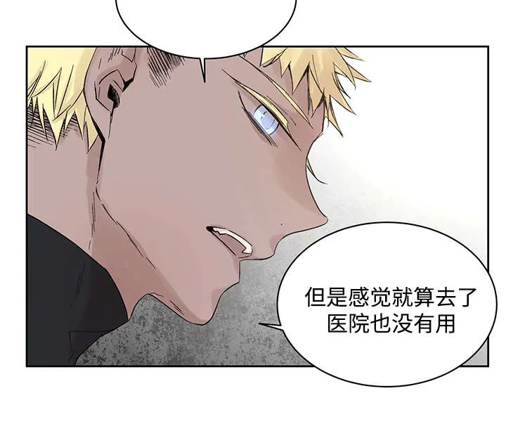 巫师与狼漫画漫画,第19章：直觉16图