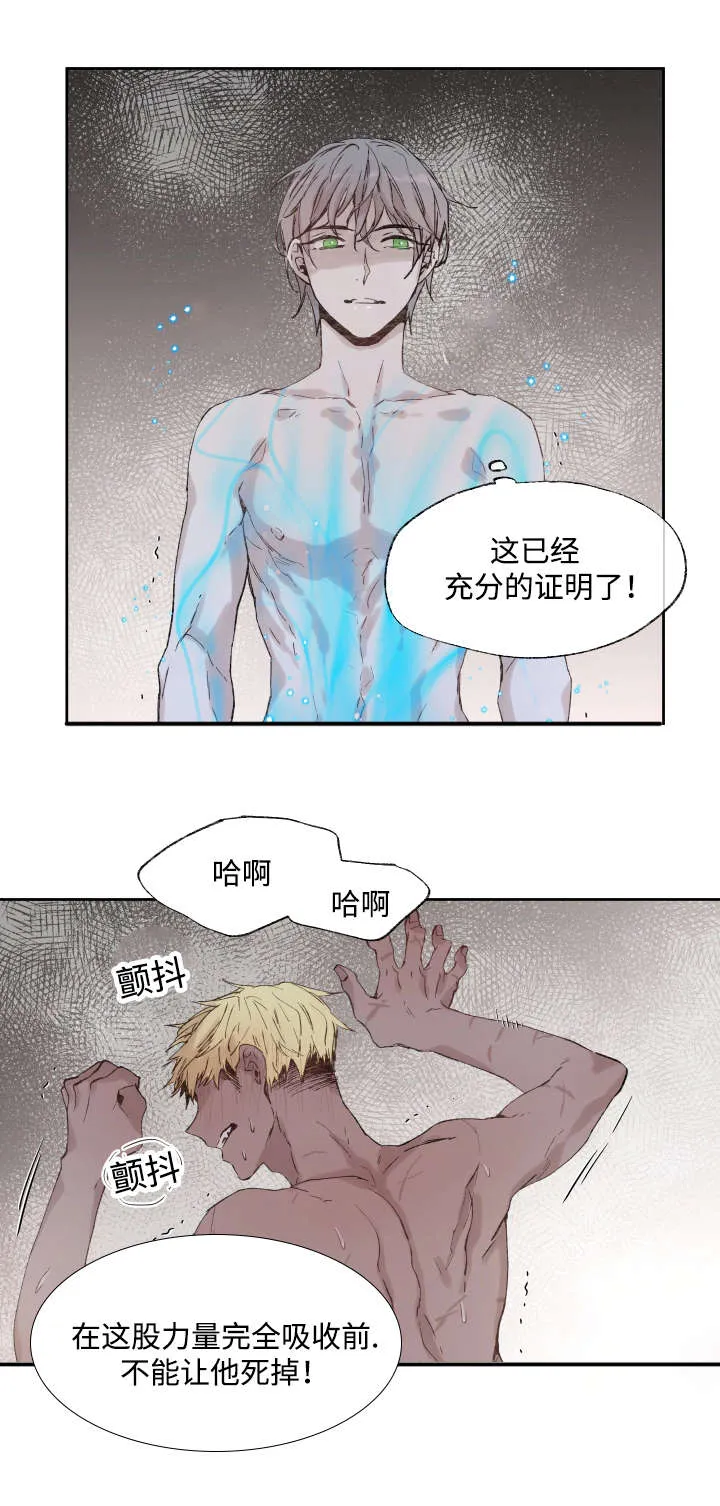 巫师与狼漫画漫画,第37章：充分证明15图