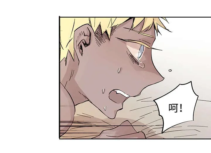 巫师与狼漫画还有别的名字漫画,第29章：没力气说话为止14图