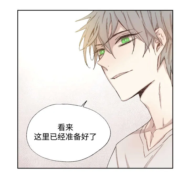 巫师与狼漫画漫画,第37章：充分证明5图