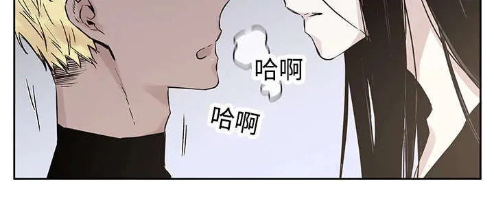 巫师与狼漫画漫画,第7章：活下去的方法2图