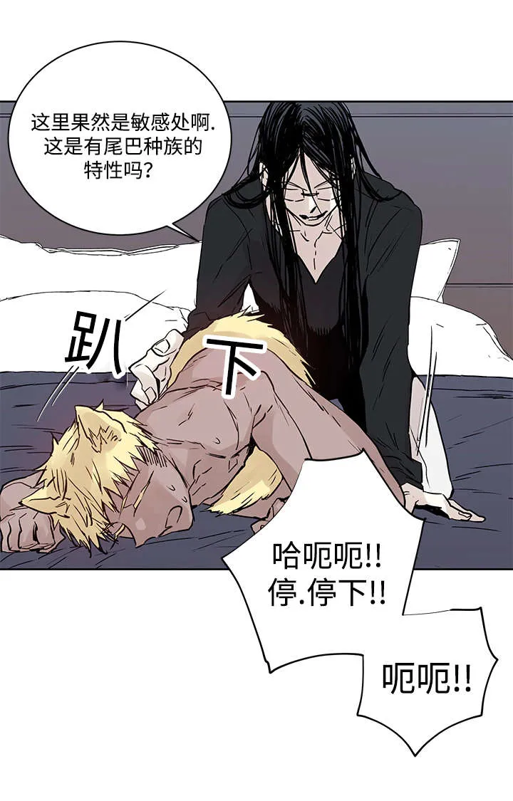 巫师与狼漫画漫画,第11章：原来在那里6图