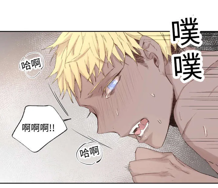 巫师与狼漫画漫画,第37章：充分证明13图