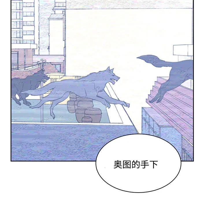 巫师与狼漫画漫画,第19章：直觉8图