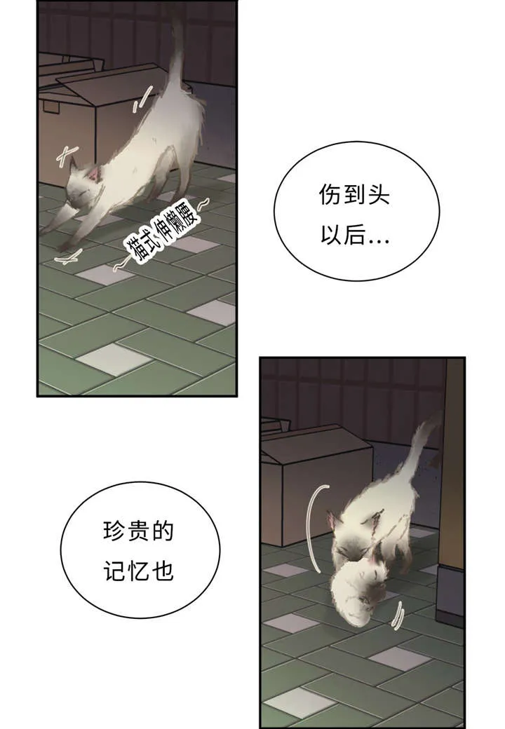 相似形态漫画漫画,第29章：记不起28图