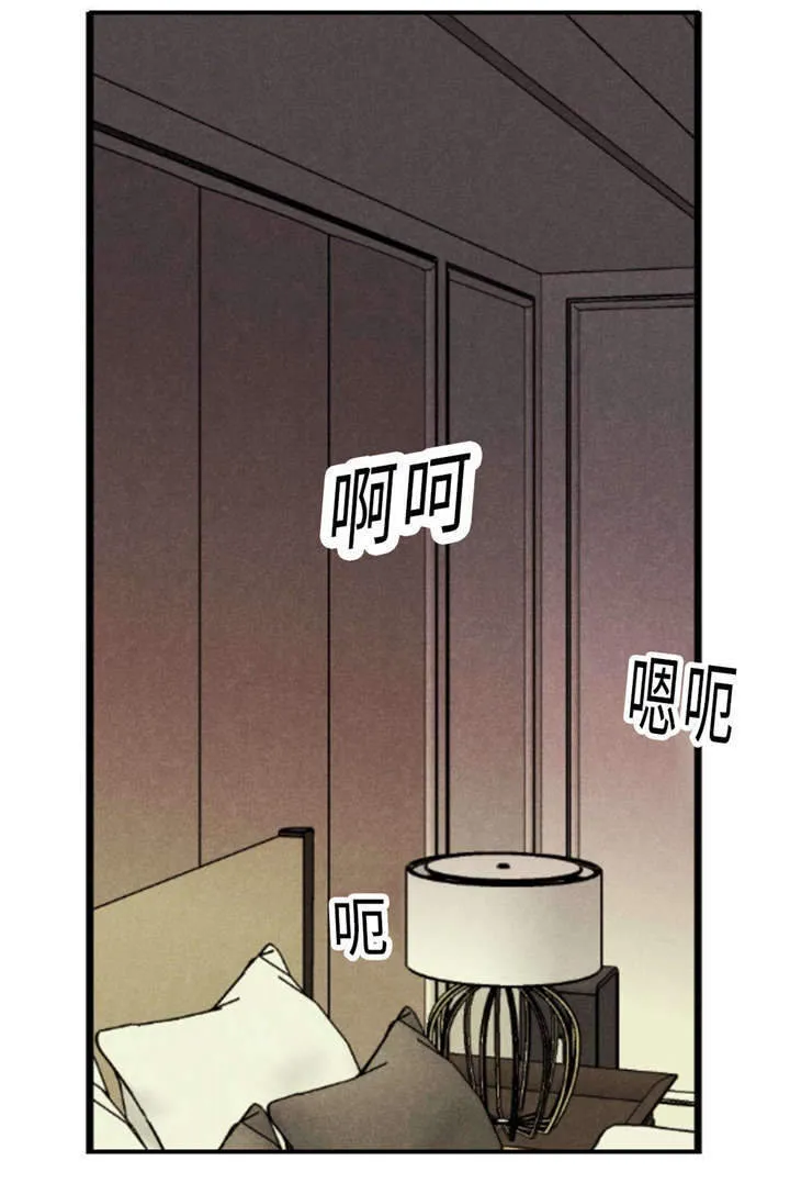 相似形态漫画漫画,第43章：一拳5图