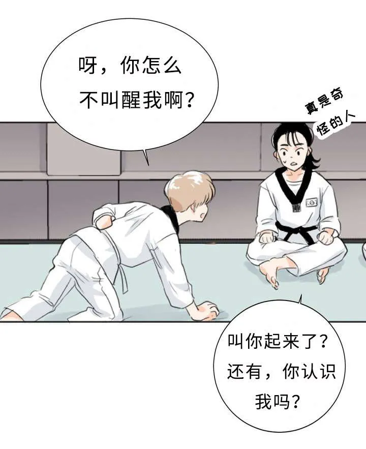 相似形态漫画漫画,第1章：目不斜视24图