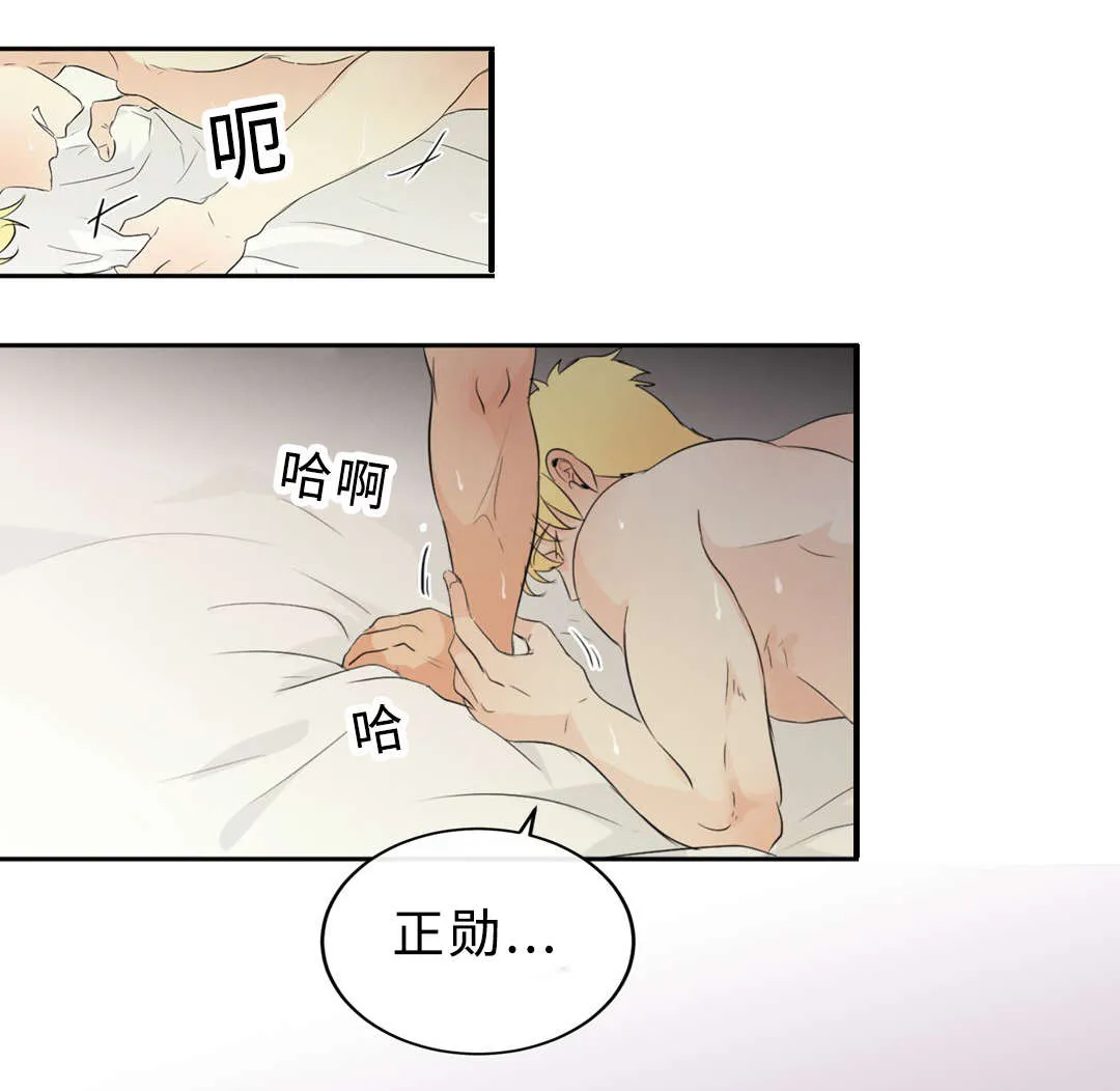 相似形态漫画漫画,第51章：领养18图