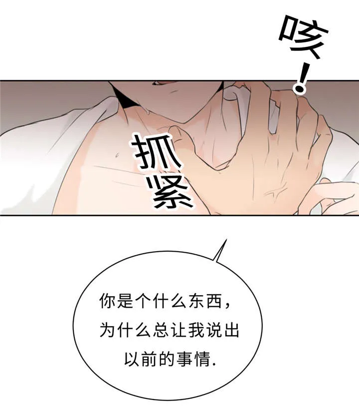 相似形态漫画漫画,第18章：好处6图