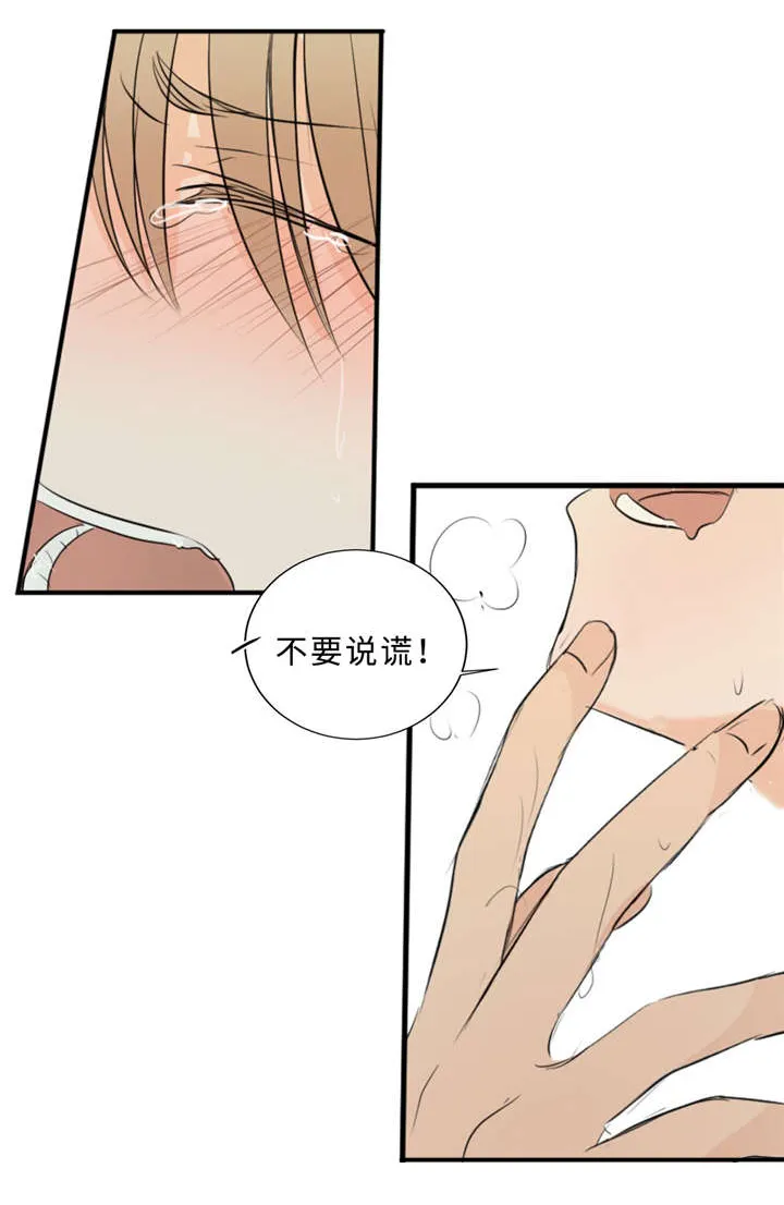 相似形构成的图案漫画,第35章：再见12图