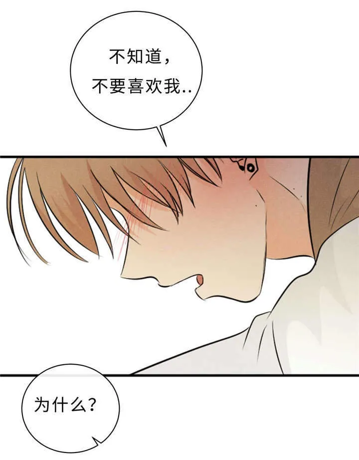 相似形态漫画漫画,第44章：不欢而散36图