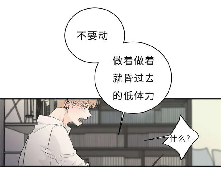 相似形态漫画漫画,第33章：道歉19图