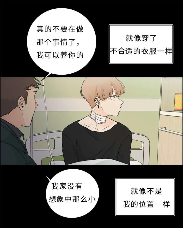 相似形态漫画漫画,第36章：拯救33图