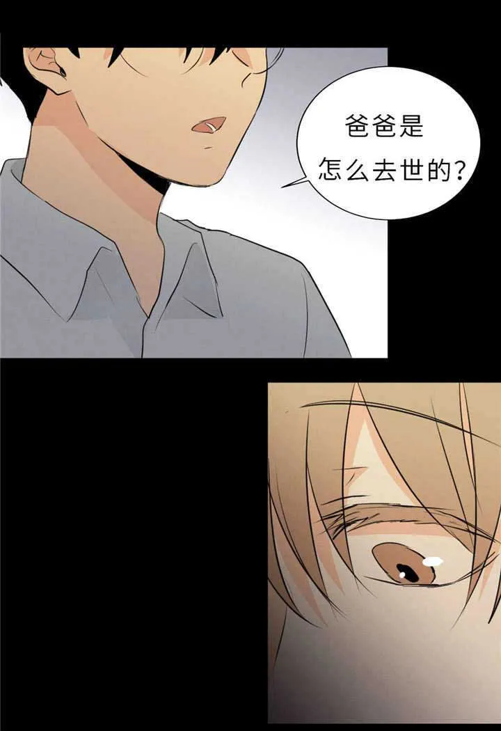 什么叫相似形漫画,第50章：过往32图