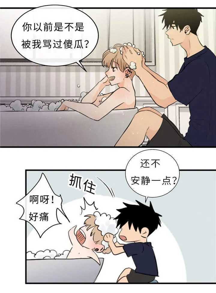 相似形态漫画漫画,第48章：浴室1图