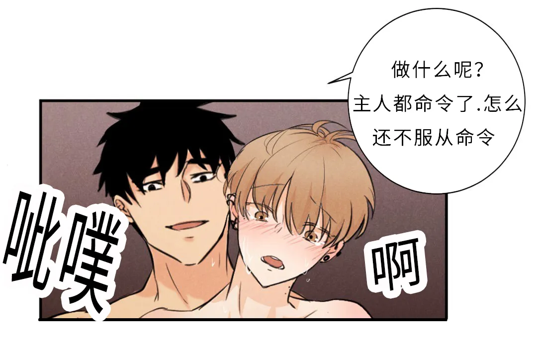 什么叫相似形漫画,第9章：宝贵的记忆23图