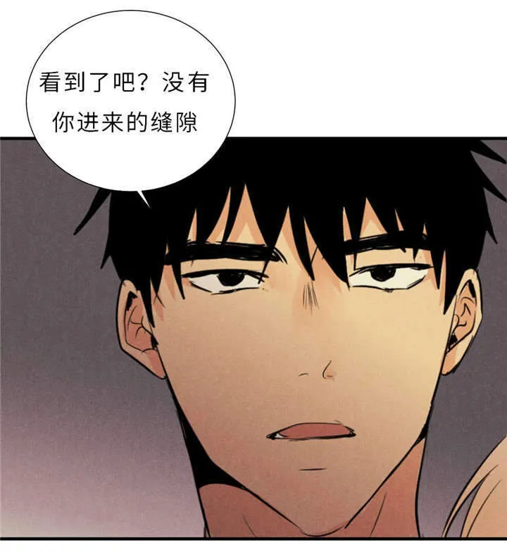 相似形态漫画漫画,第43章：一拳28图