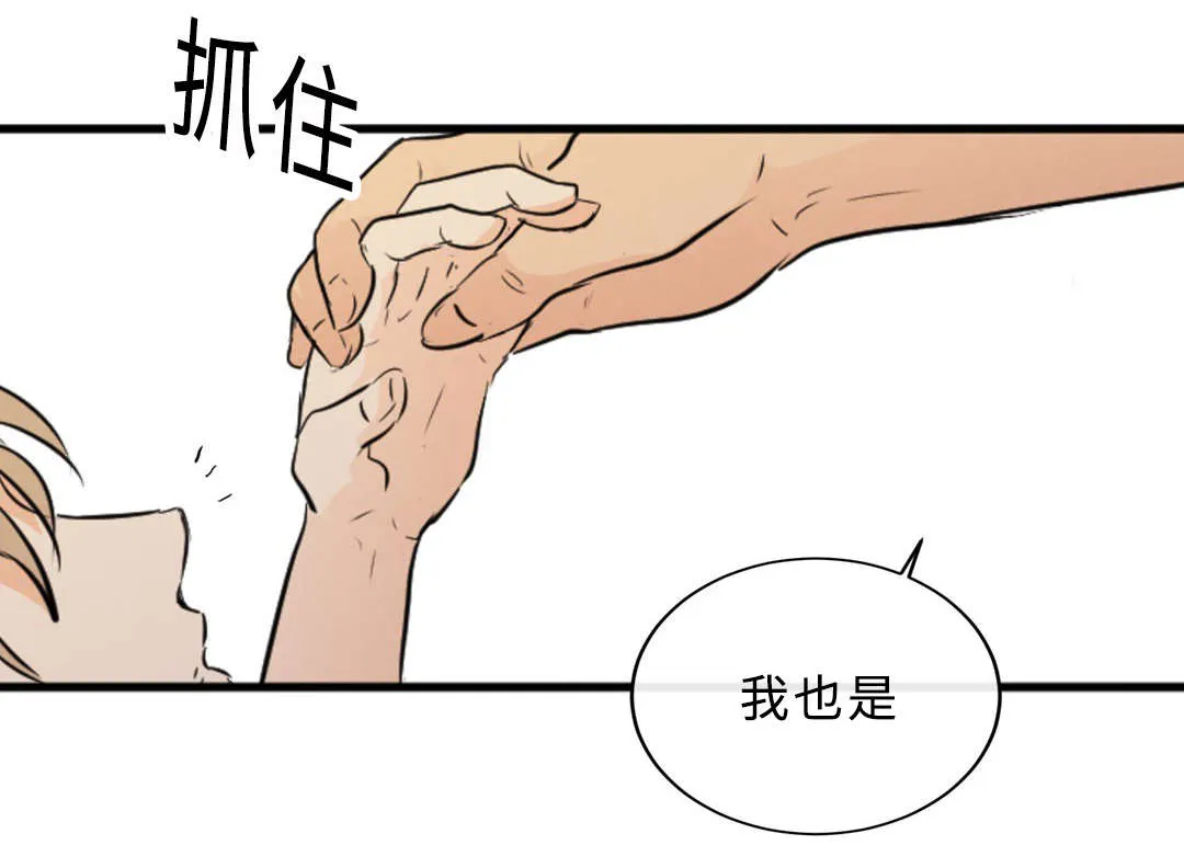 相似形体漫画漫画,第55章：想找回在原吗10图