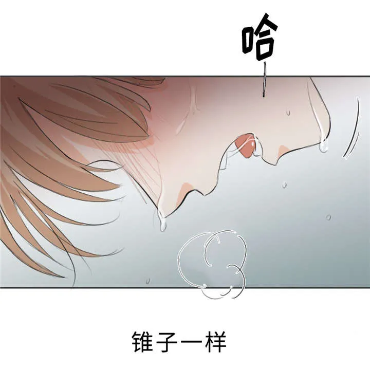 相似形态漫画推荐漫画,第7章：那些感情34图