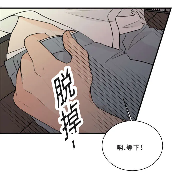 相似形态漫画漫画,第33章：道歉17图