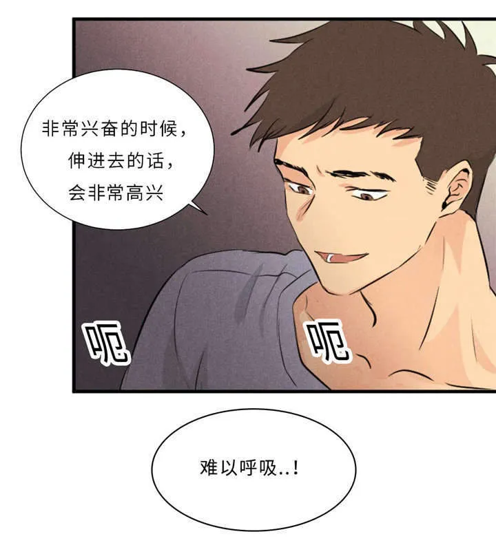 相似形态漫画漫画,第43章：一拳14图