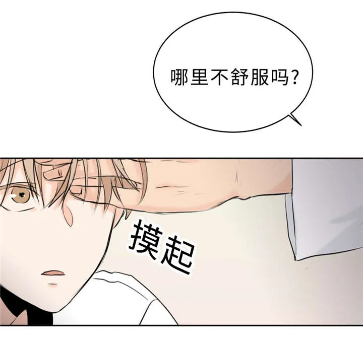 相似形态漫画漫画,第26章：亲切18图