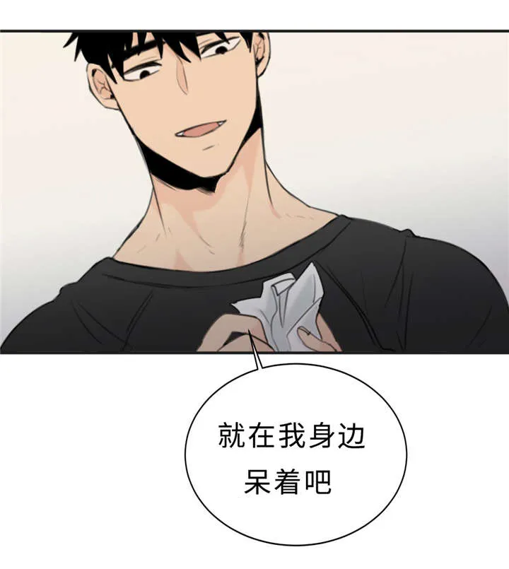 相似的形状漫画,第23章：可爱13图