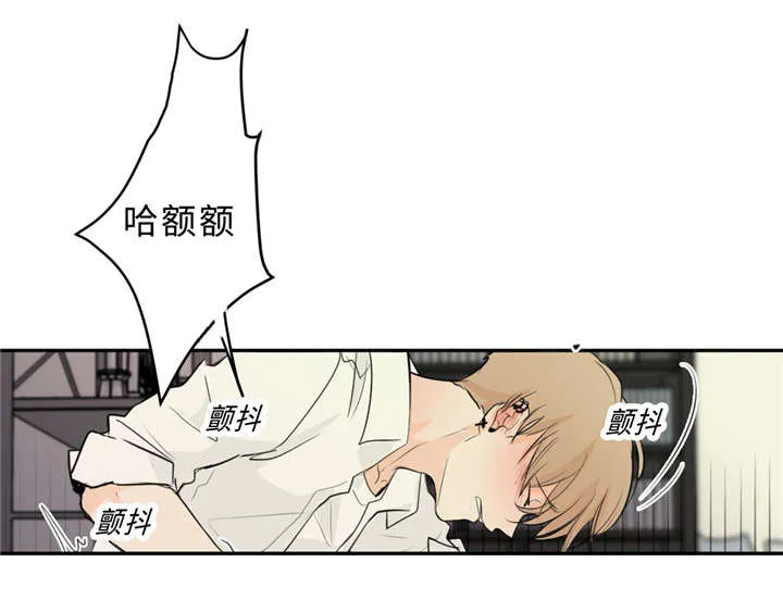 相似形态漫画漫画,第33章：道歉23图