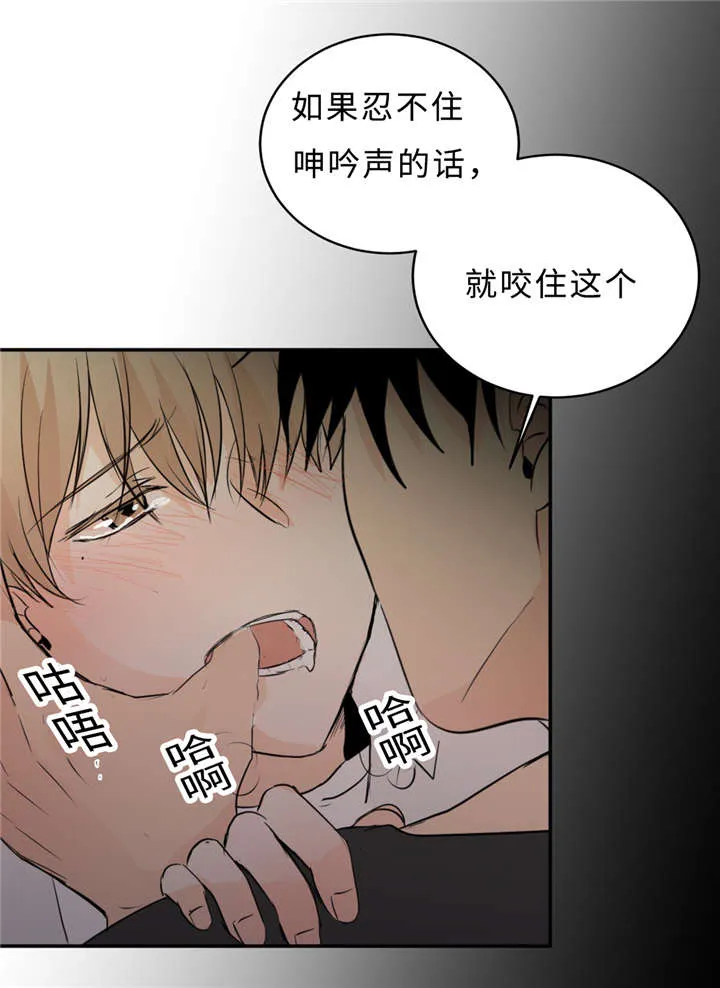 相似形态漫画漫画,第33章：道歉25图