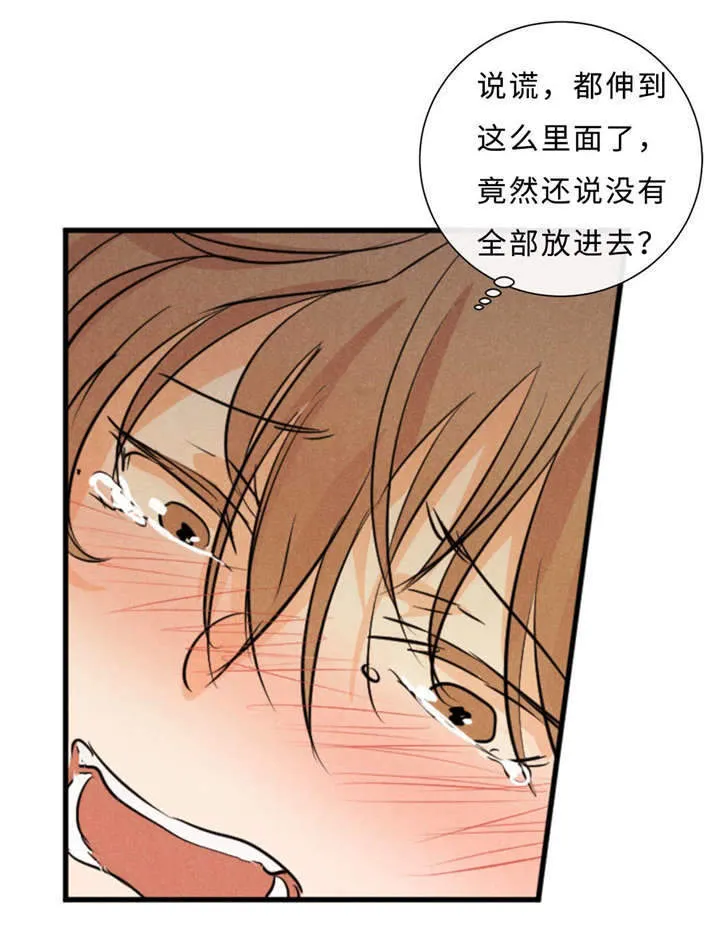 相似形态漫画漫画,第43章：一拳11图