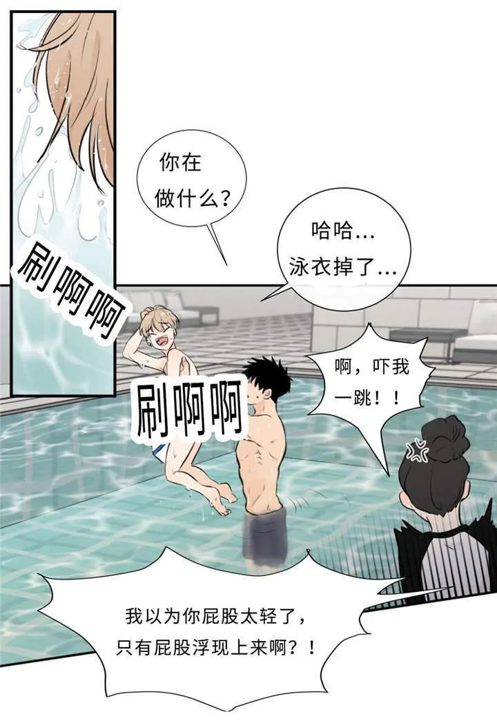 相似形态漫画漫画,第41章：话多3图