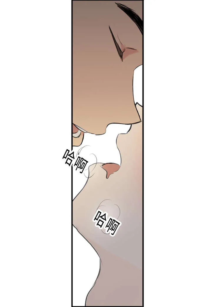 相似形态漫画漫画,第30章：不喜欢你32图