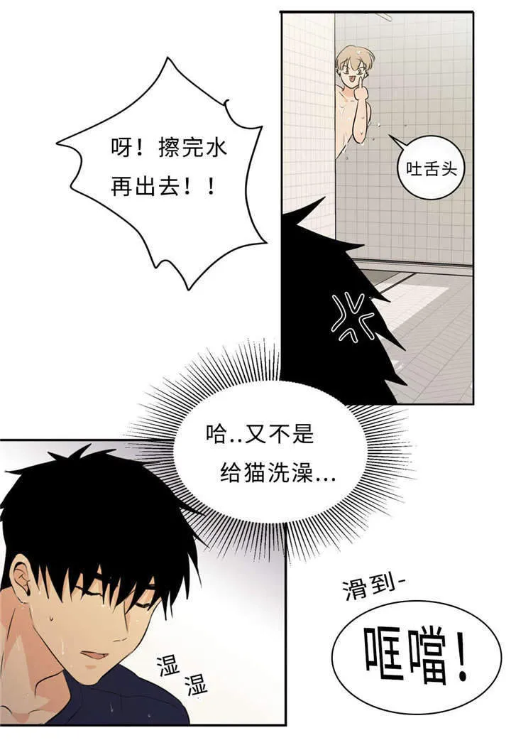 相似形态漫画漫画,第48章：浴室13图