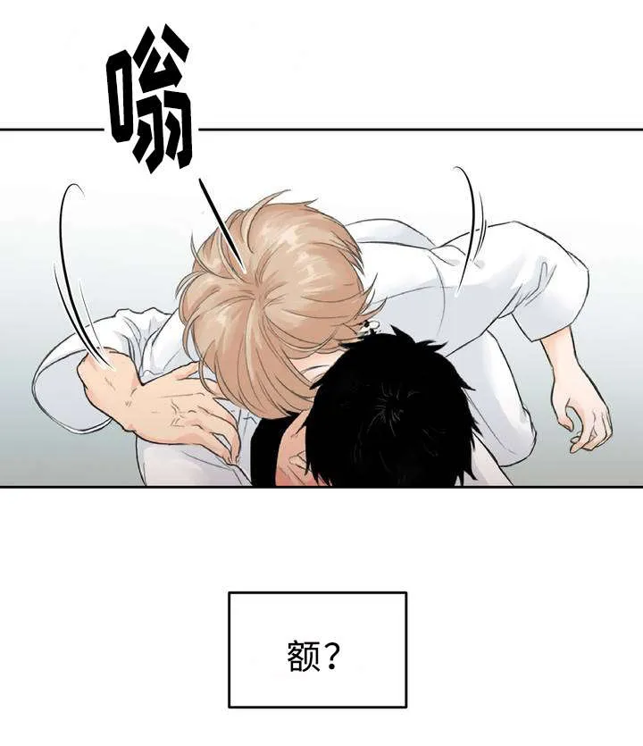 相似形态漫画漫画,第1章：目不斜视17图