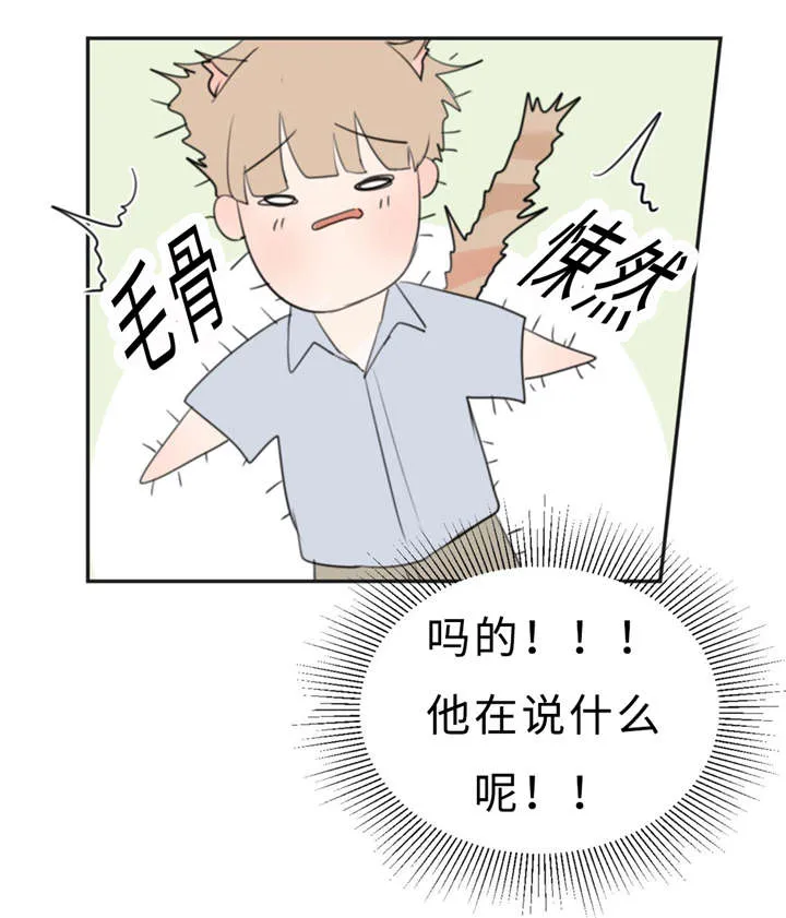 相似的形状漫画,第23章：可爱23图