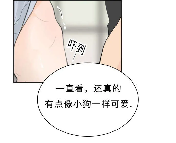 相似形态漫画漫画,第24章：变态6图