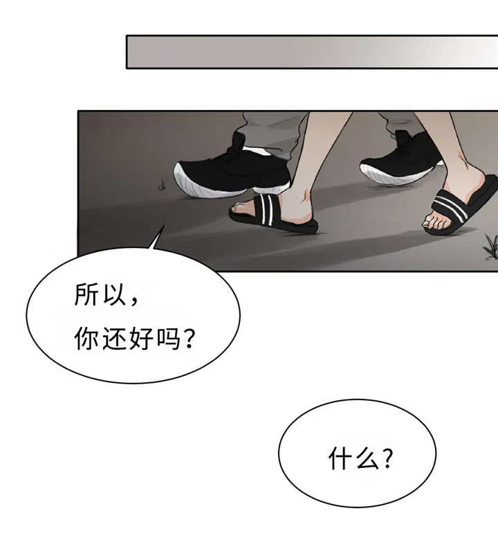 相似形态漫画推荐漫画,第5章：扯平了12图