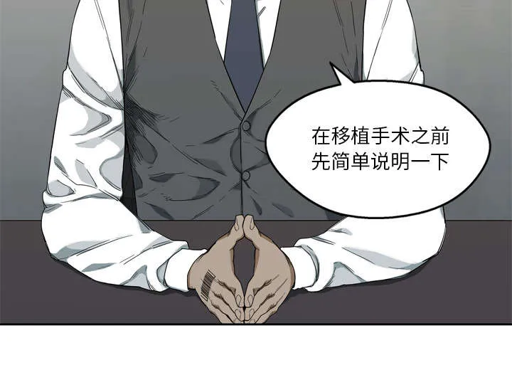 少年邮差漫画漫画,第21章：移植手术5图