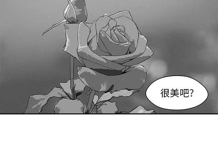 乱世邮差漫画漫画,第51章：血腥复仇13图