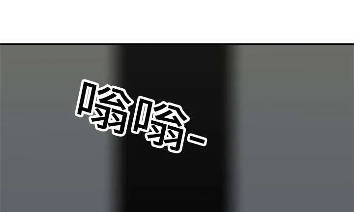 无线邮差漫画免费阅读漫画,第43章：追击33图